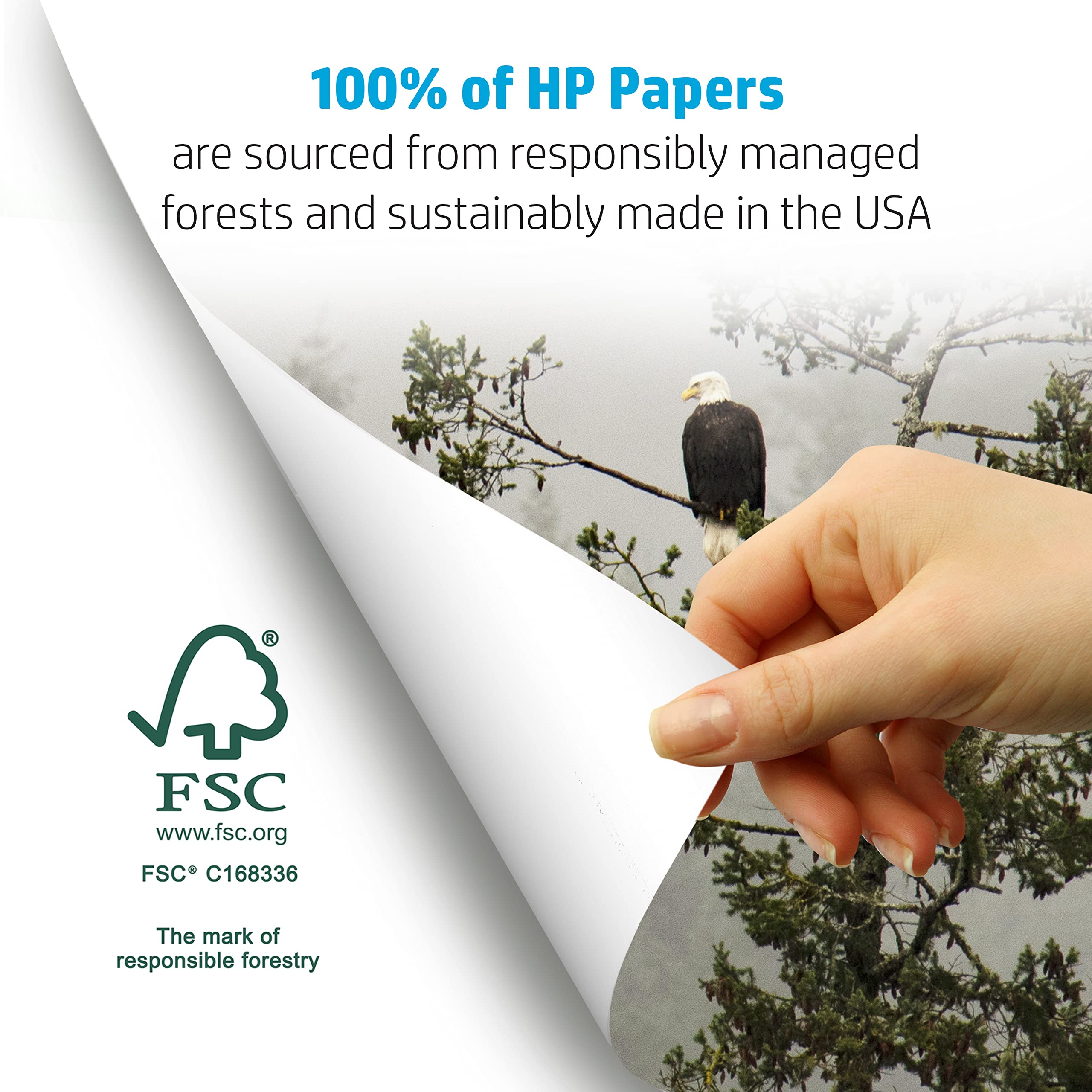 HP Papers on a workspace with printed reports showing professional output and value