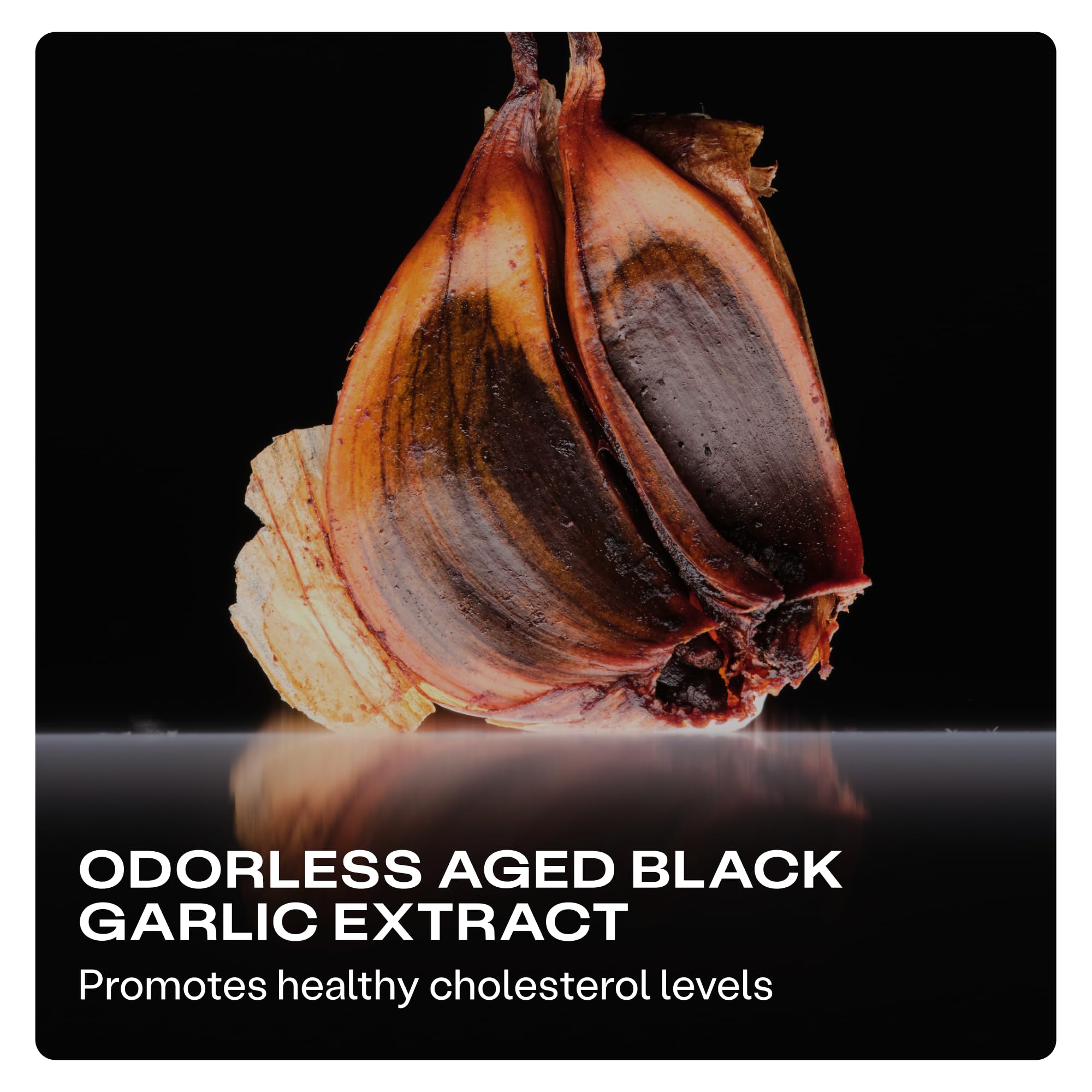 HumanN aged black garlic clove detail emphasizing sulfur compound support