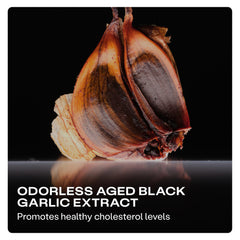 HumanN aged black garlic clove detail emphasizing sulfur compound support