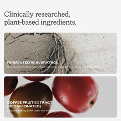 HumanN beet root powder ingredient display illustrating natural plant-based support