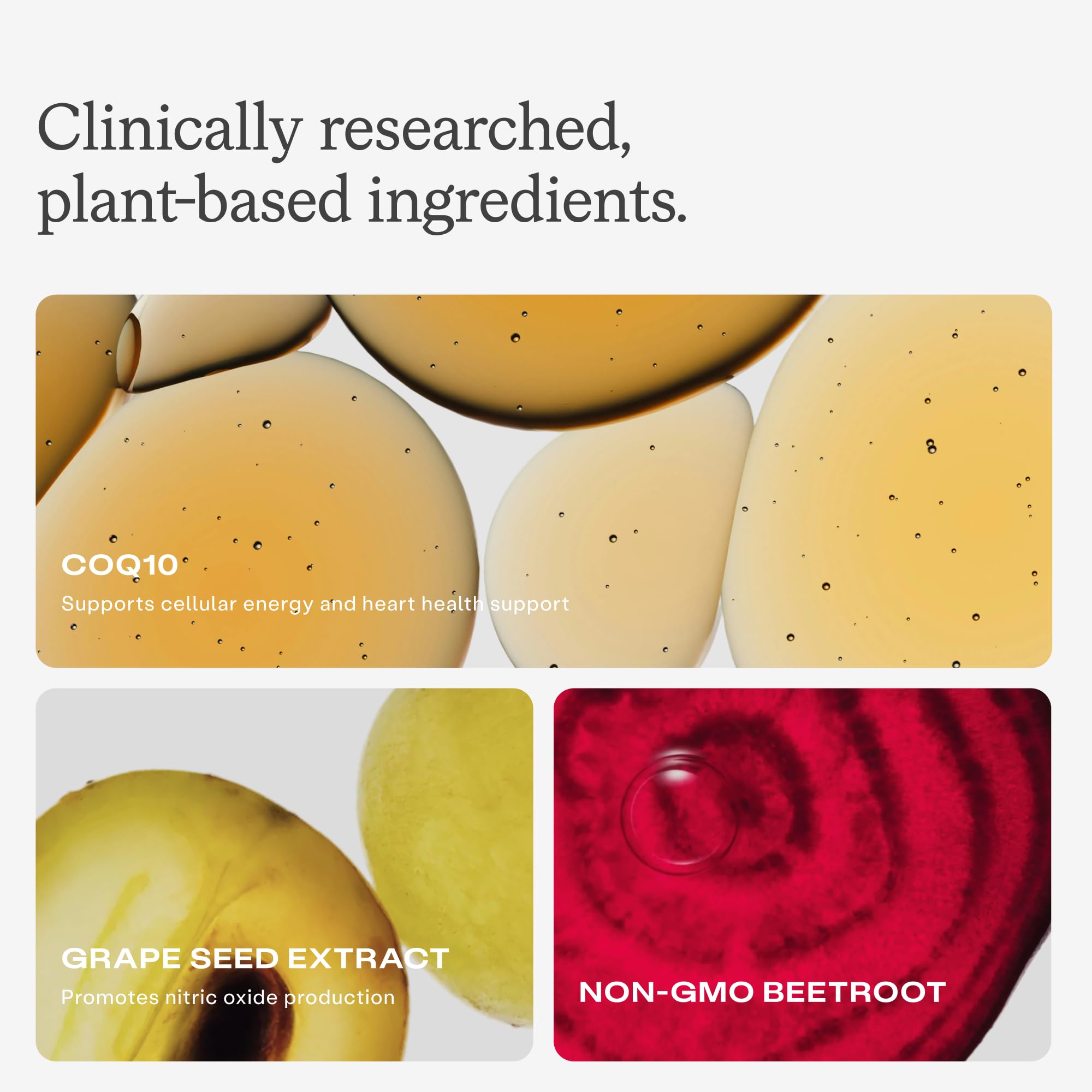 HumanN chew in hand illustrating size and convenient daily dosing