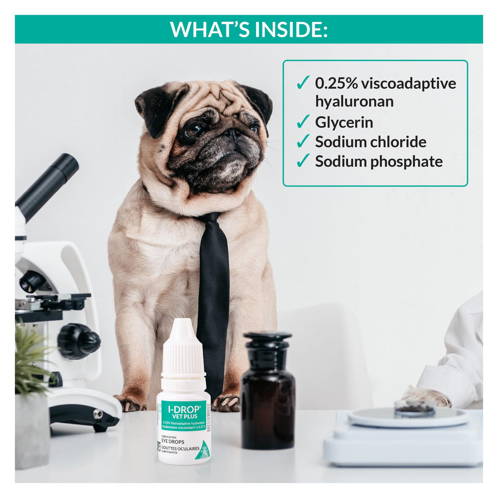 I-DROP Vet Plus being applied to a dog's eye showing gentle relief benefit