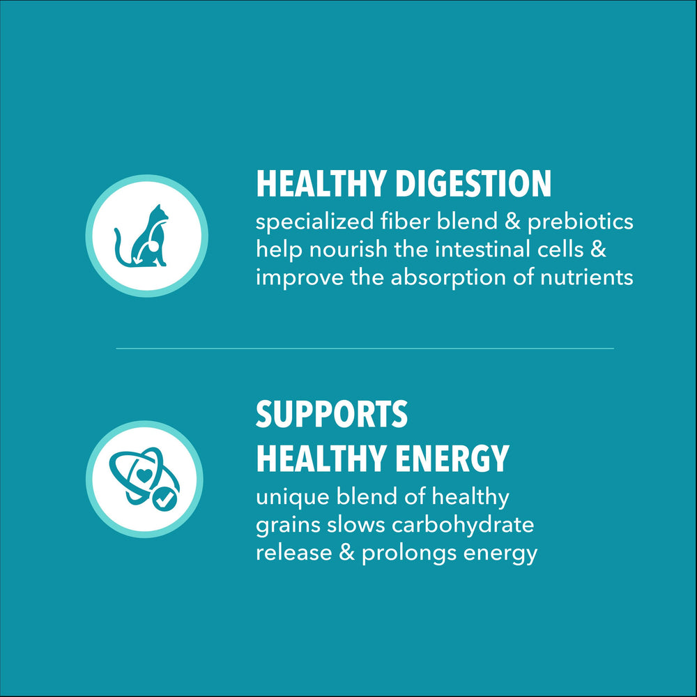IAMS bag nutrition panel detail showing balanced nutrient info