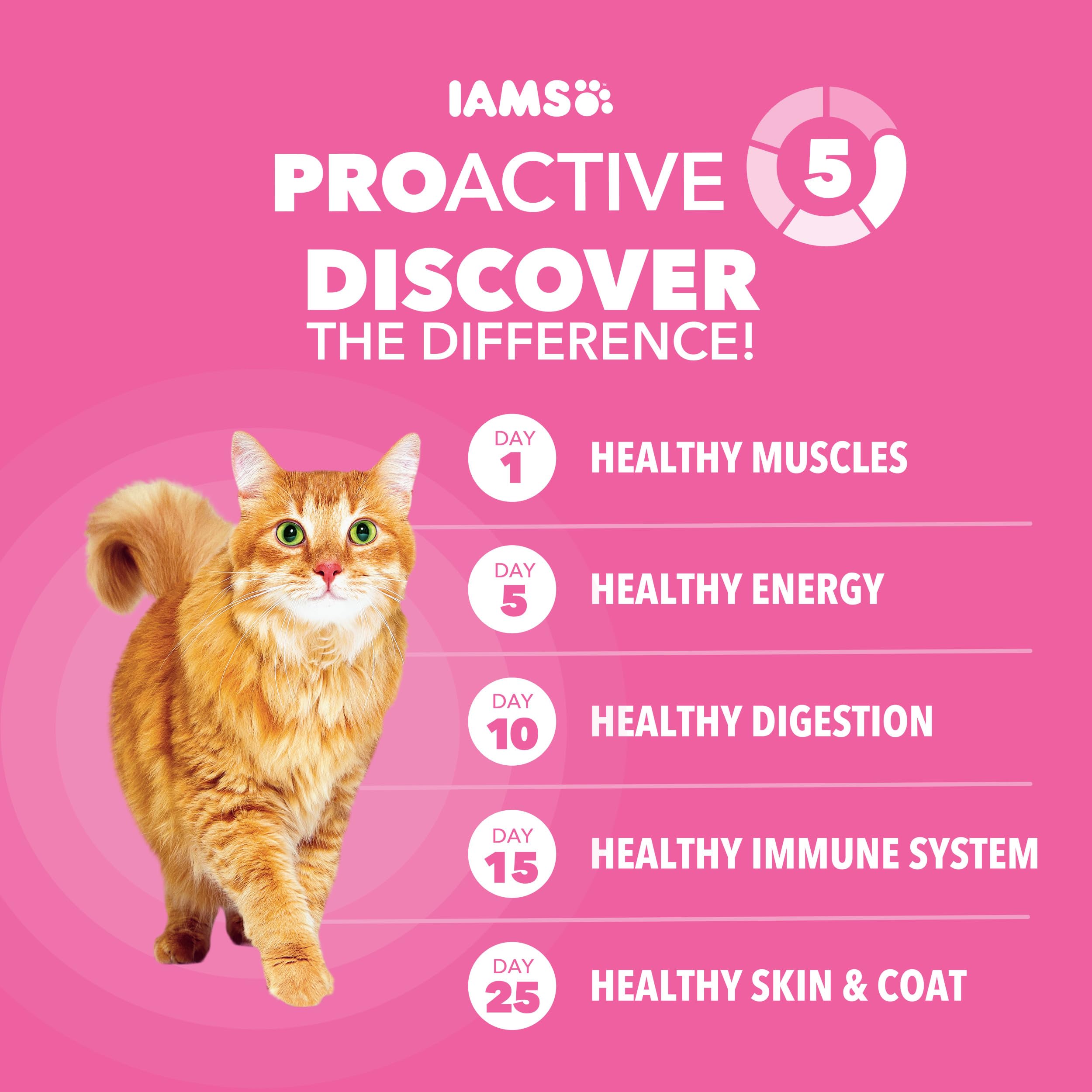 IAMS cat eating from bowl showing improved appetite and enjoyment