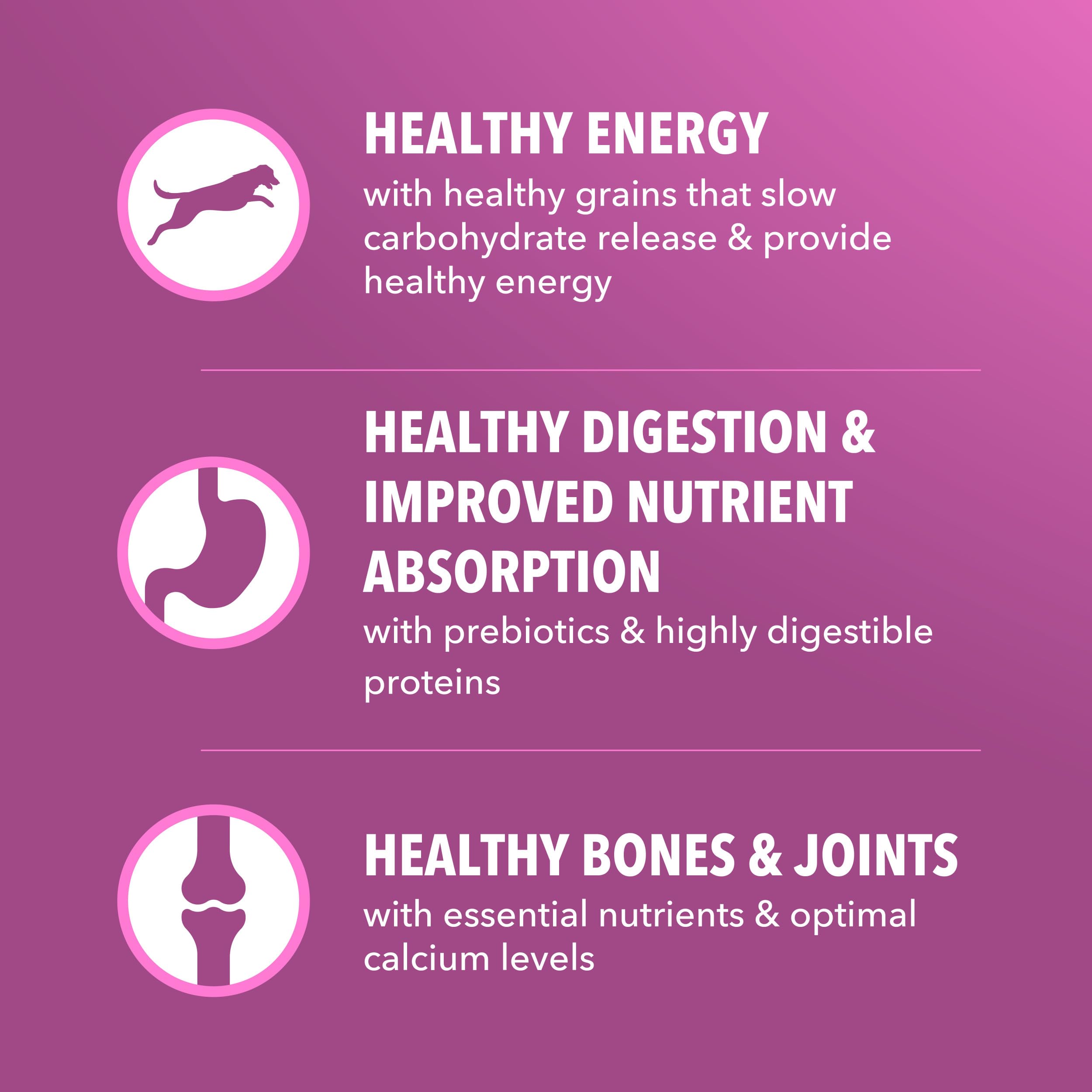 IAMS real chicken ingredient depiction emphasizing protein-first benefit