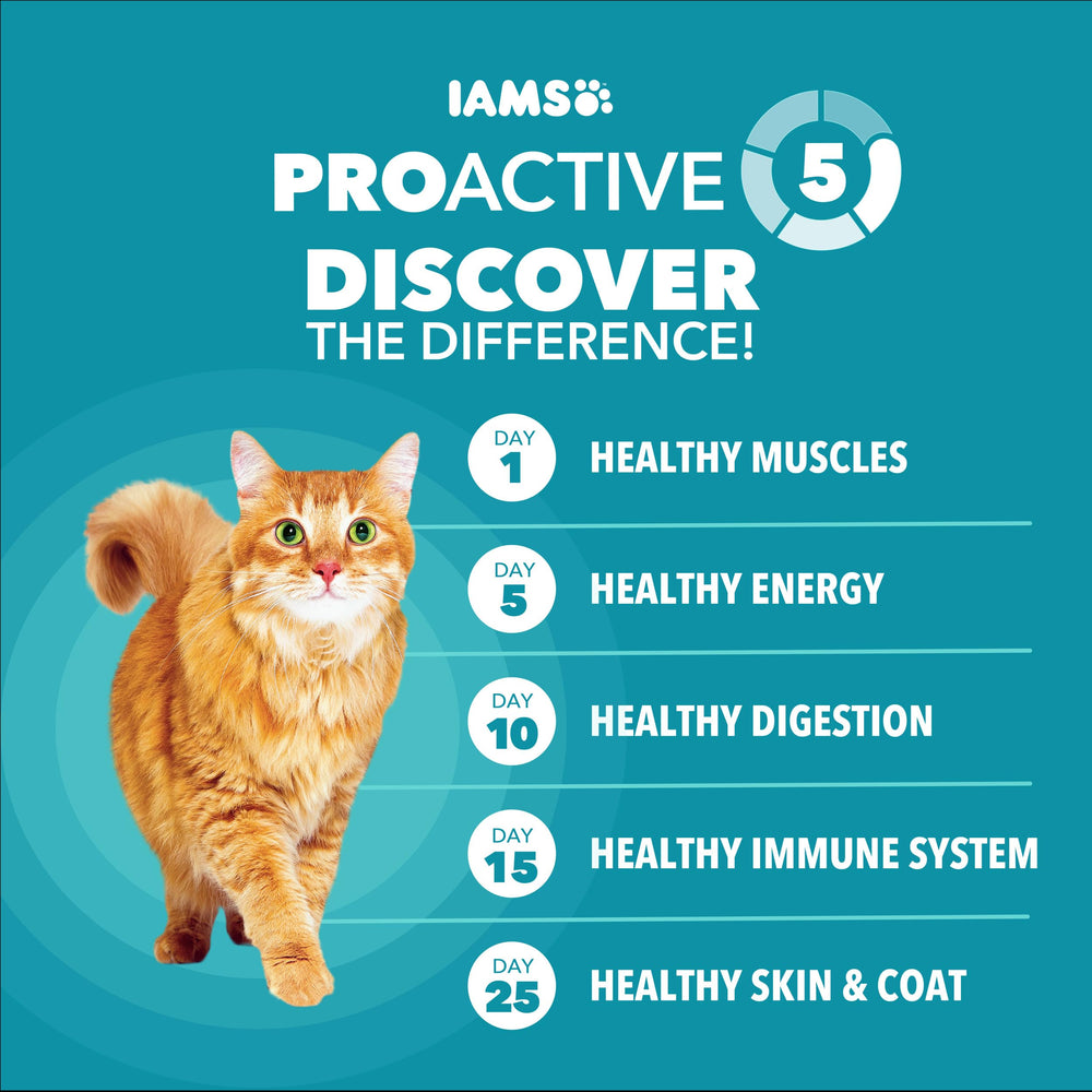 IAMS feeding bowl in kitchen illustrating portion control benefit