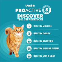IAMS feeding bowl in kitchen illustrating portion control benefit