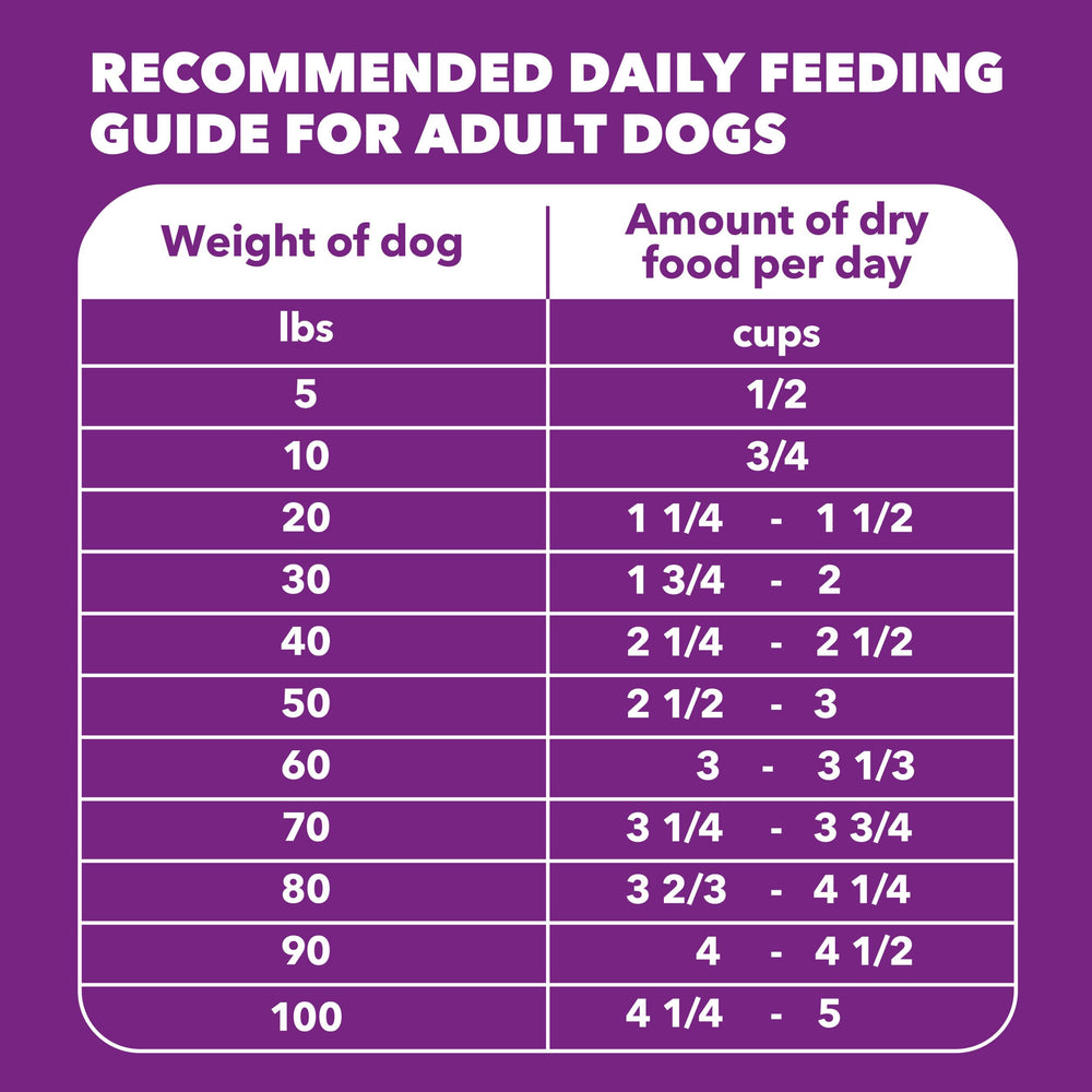 IAMS measured portion on kitchen scale to emphasize accurate feeding
