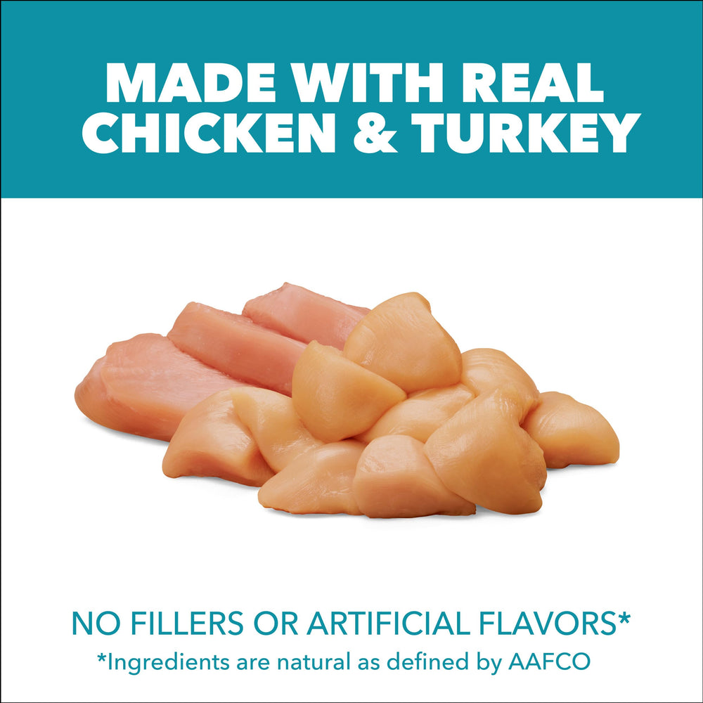 IAMS kibble close-up showing texture and easy chewing benefit