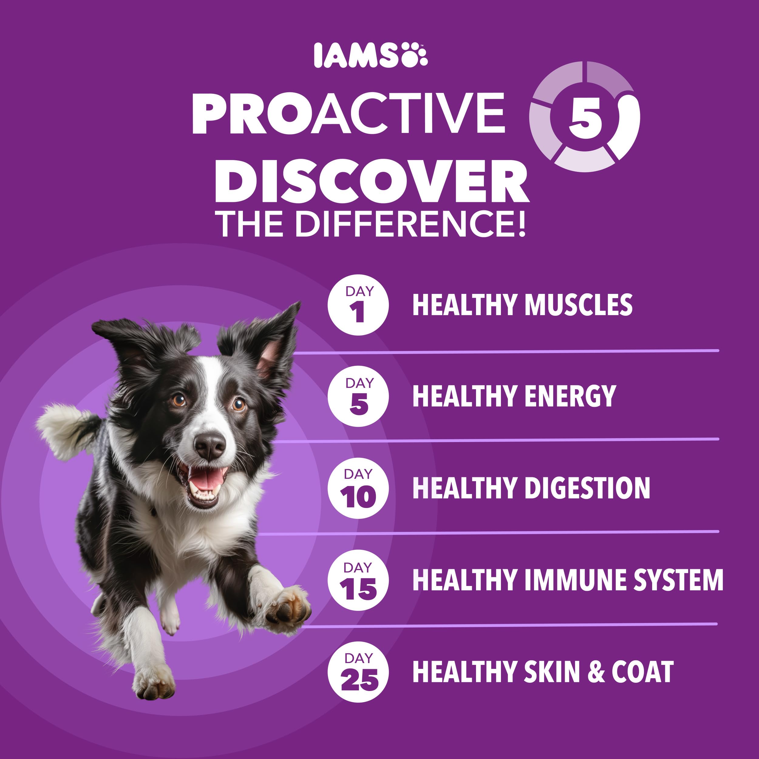 IAMS close-up of kibble texture highlighting crunchy, nutrient-rich pieces
