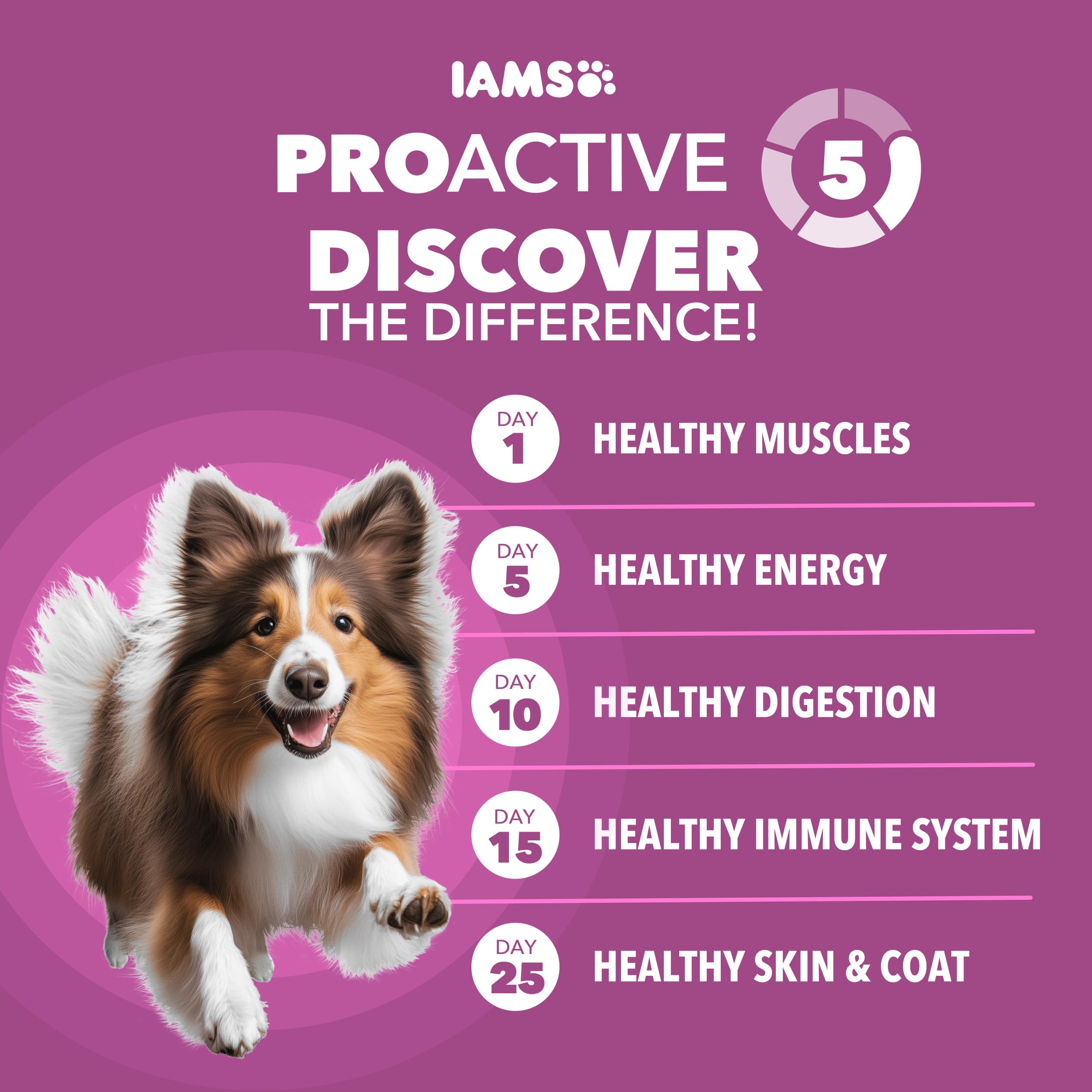 IAMS kibble close-up texture highlighting crunchy dental benefit