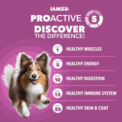 IAMS kibble close-up texture highlighting crunchy dental benefit