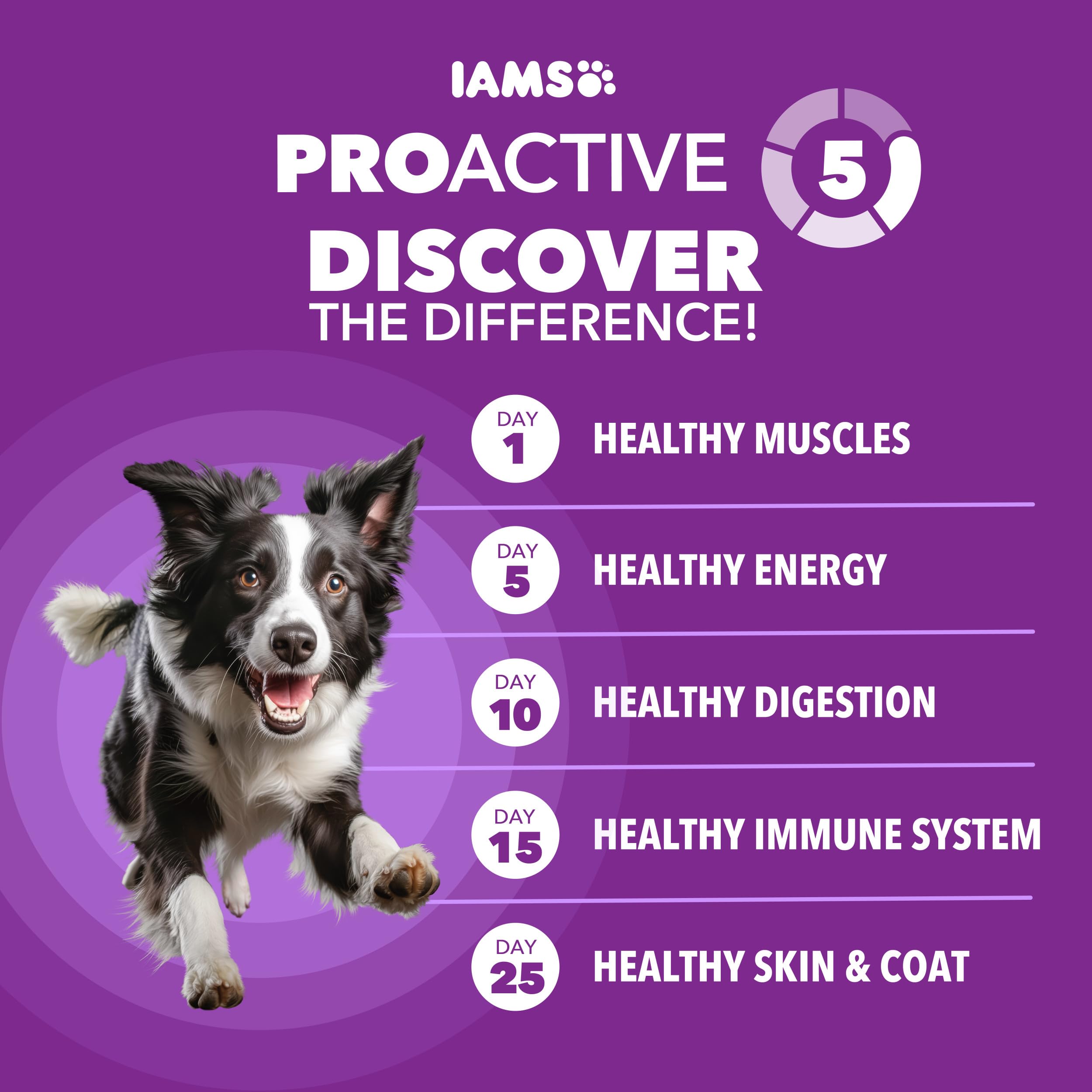 close-up of IAMS kibble texture demonstrating digestibility benefit
