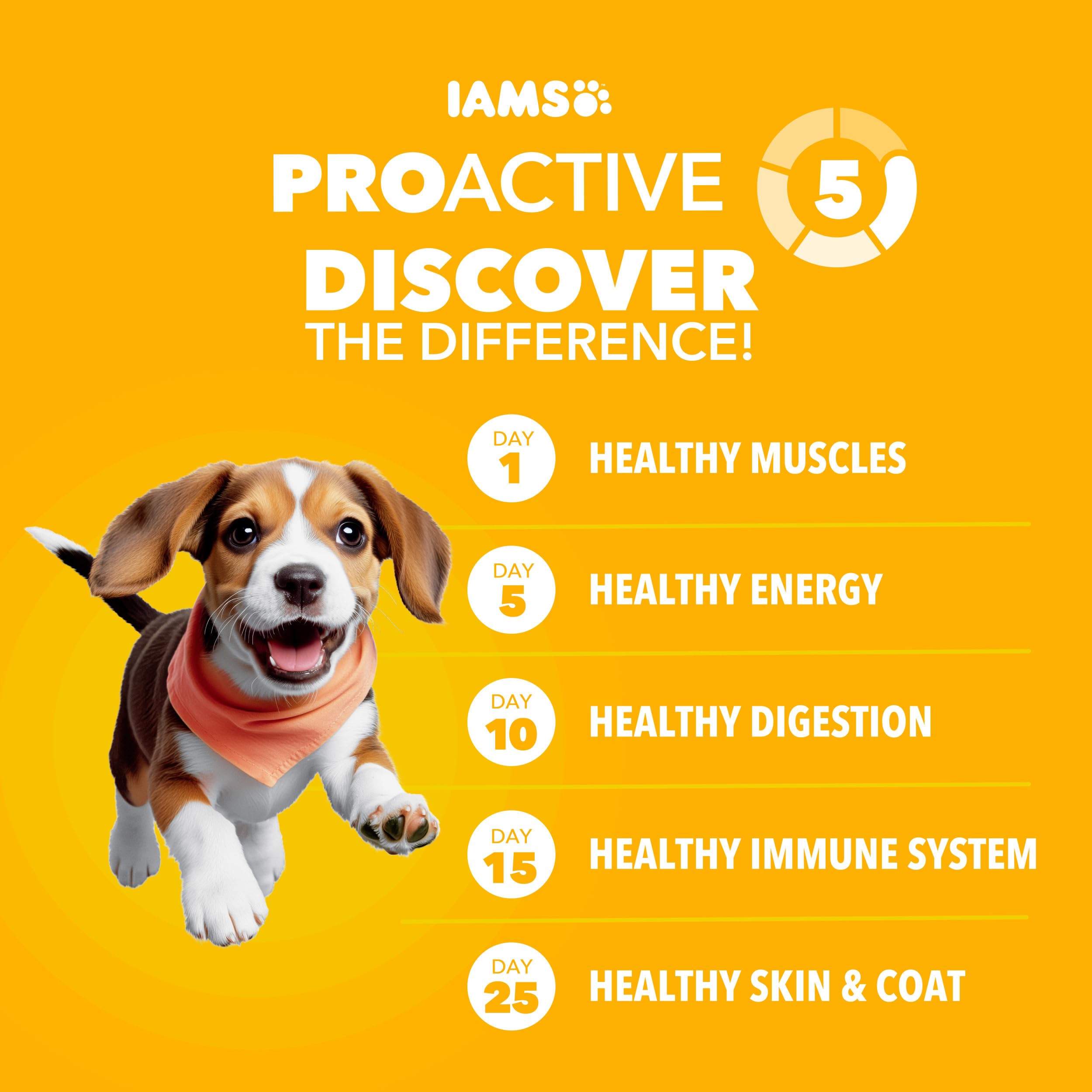 IAMS kibble close-up showing size and texture for safer chewing