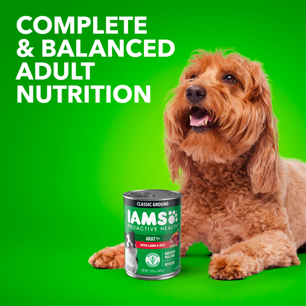 IAMS open can top view showing contents and easy-to-serve convenience