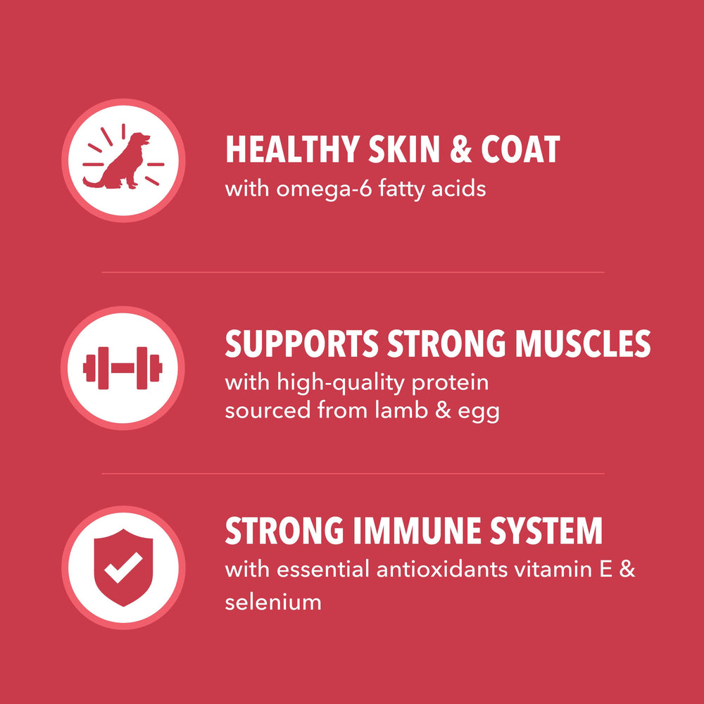 IAMS Proactive Health fresh lamb and grains highlighting real ingredients