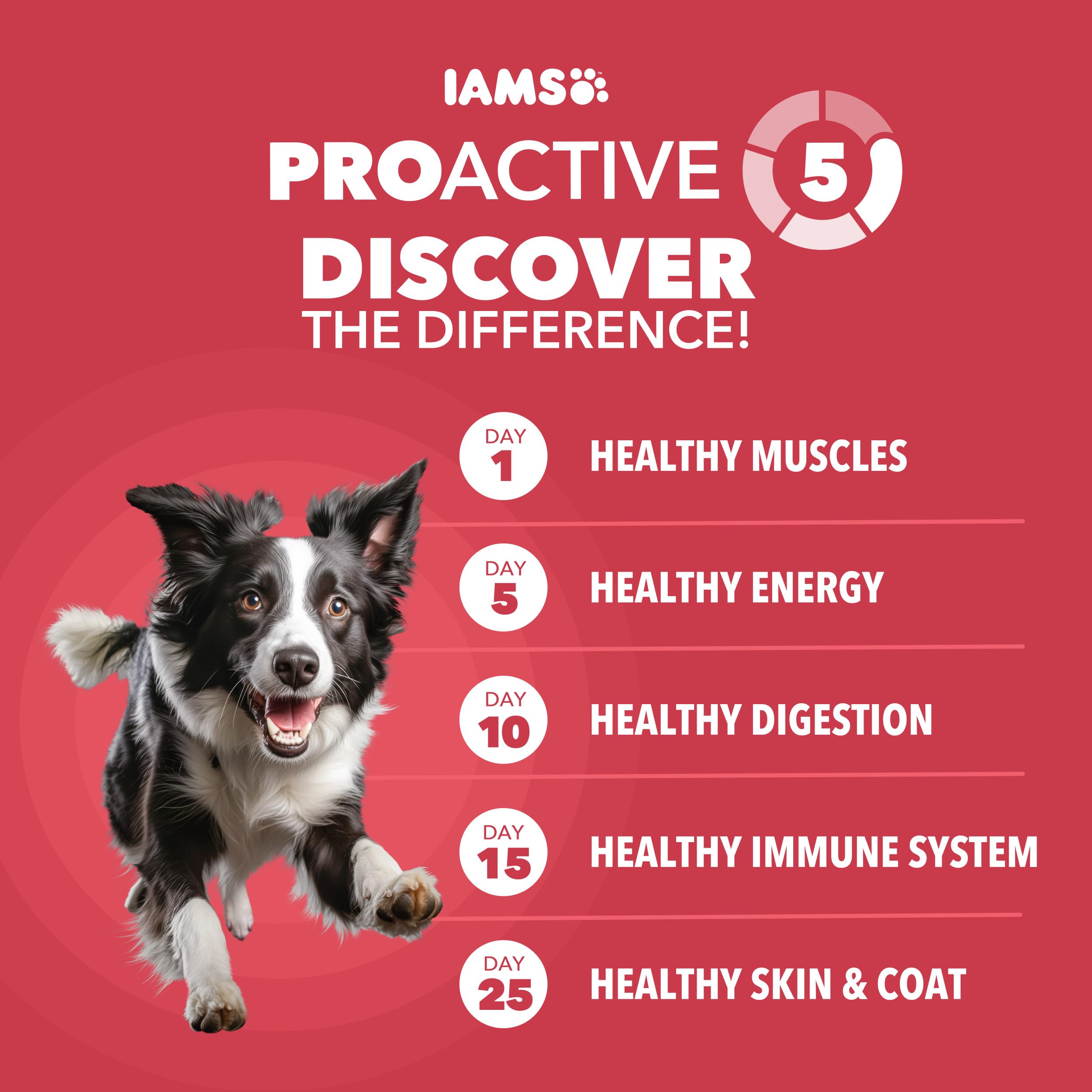 IAMS Proactive Health minichunks kibble top view for texture clarity