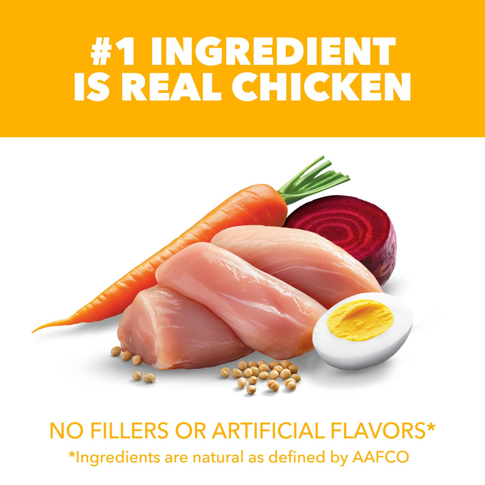 IAMS bowl of real chicken highlighting high-quality protein benefit