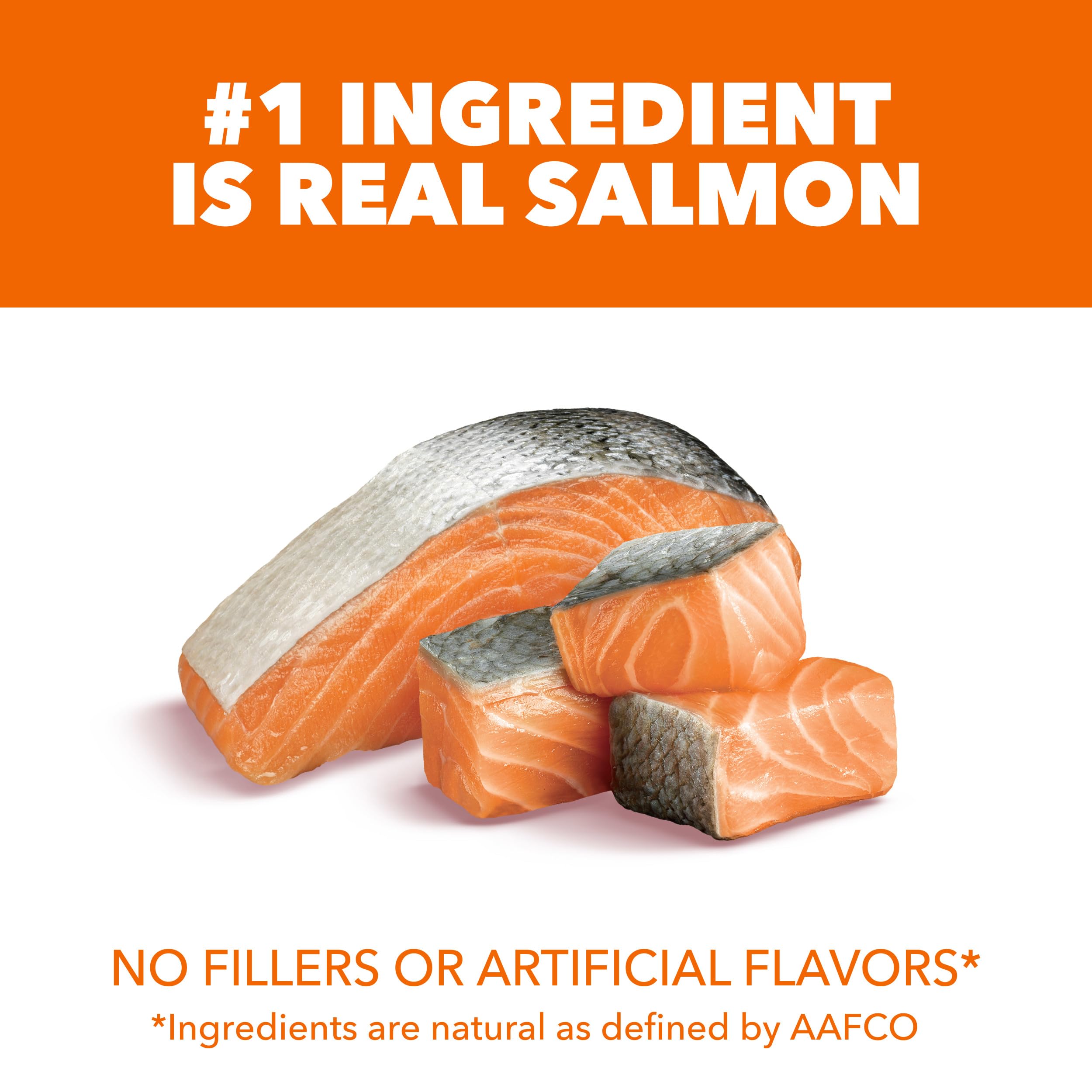 IAMS kibble close-up showing texture and high-protein salmon benefit