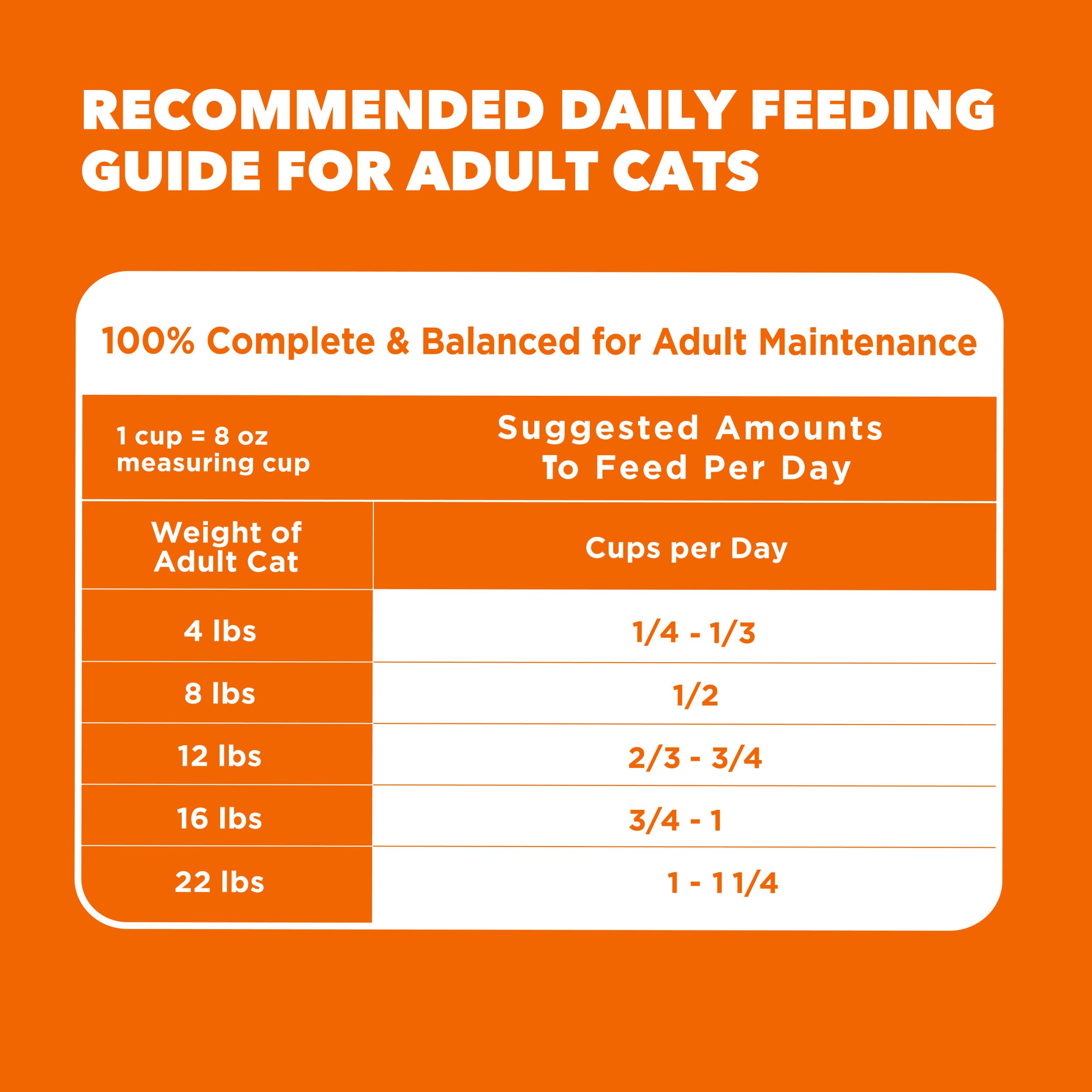 IAMS indoor cat lounging by food bowl showing daily wellness benefit