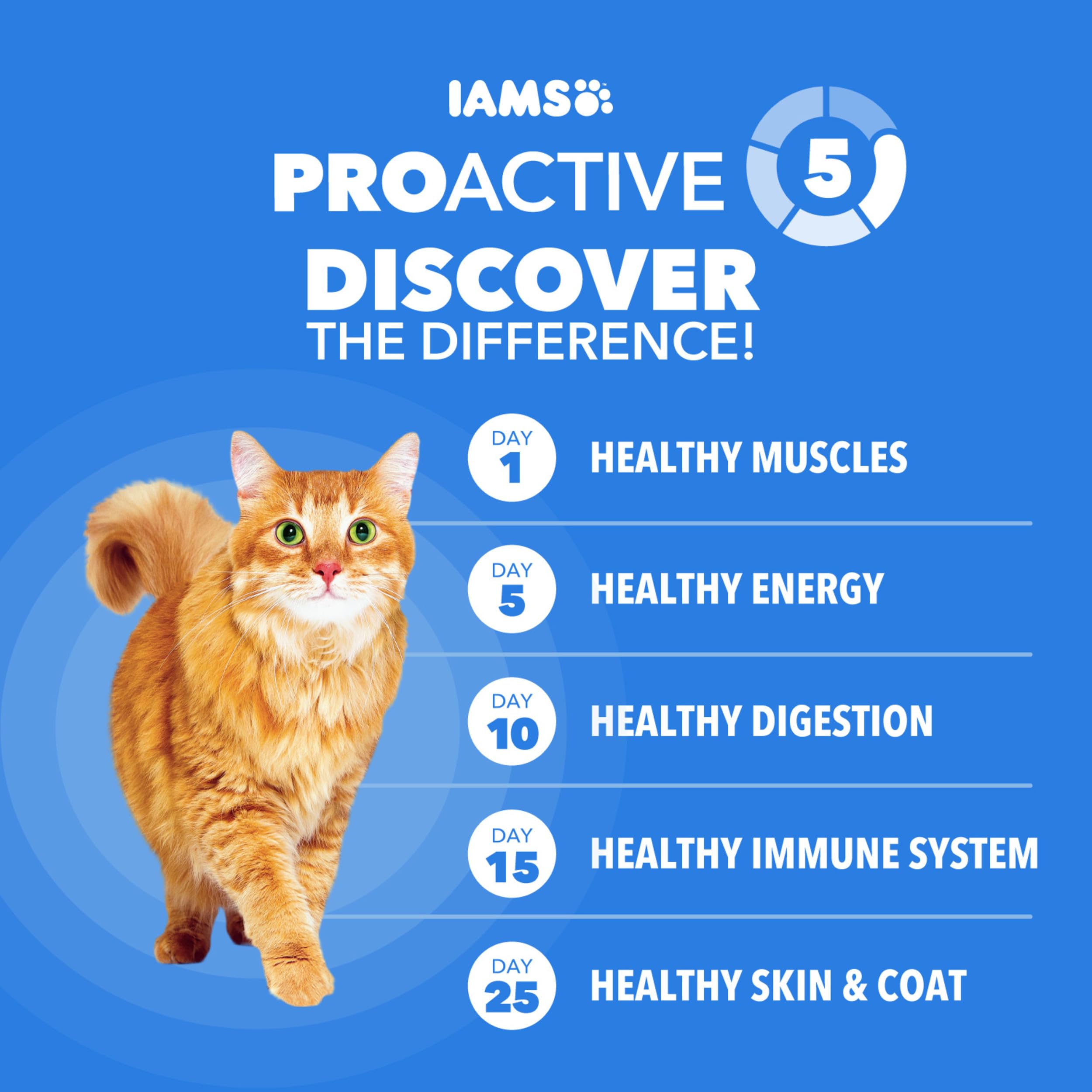 IAMS measured serving cup illustrating proper portion sizes