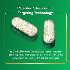 Hand holding IBgard capsules demonstrating size and convenient dosing
