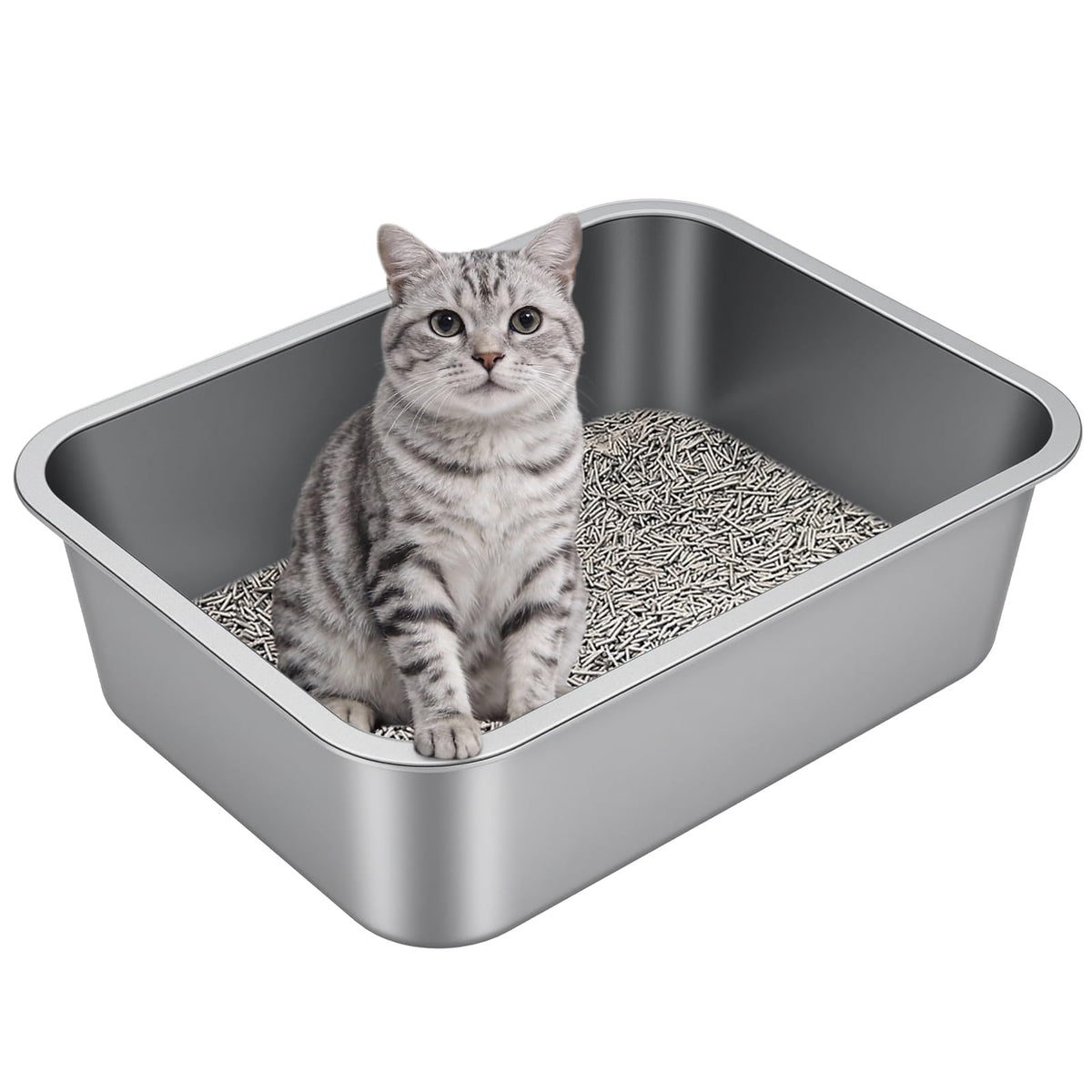 Idymere front view showing durable stainless steel litter box and roomy interior for comfort