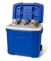 Igloo locking telescoping handle extended for stable pulling convenience