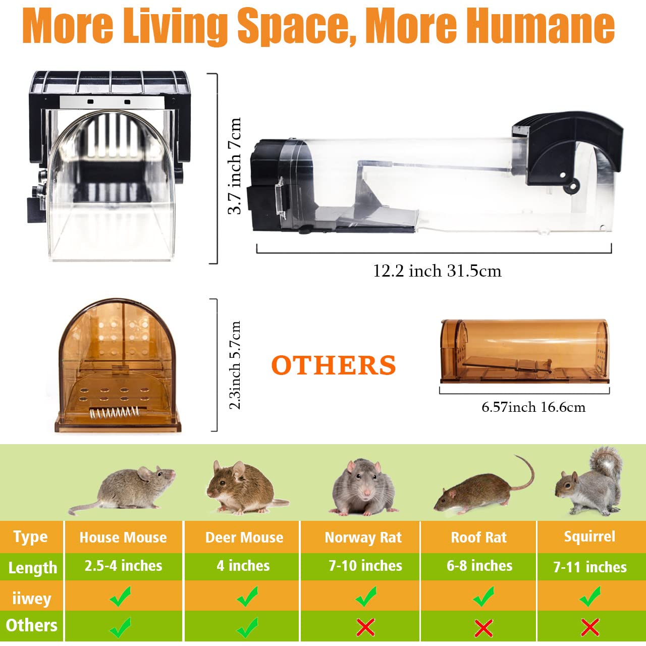 IIWEY size scale comparison beside ruler to show 12-inch roomy interior