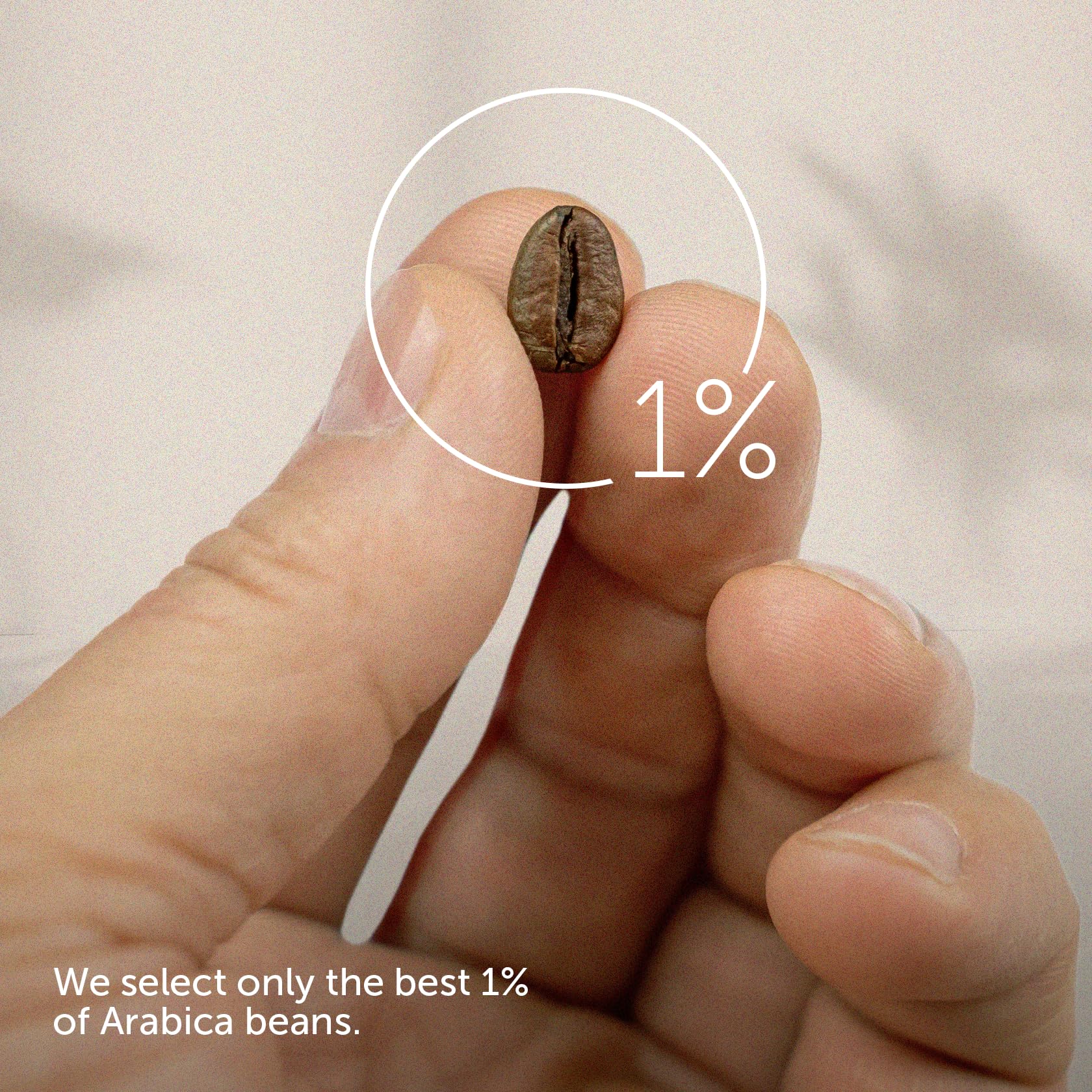 brewing illy Classico in a pour-over cone, illustrating flavor clarity