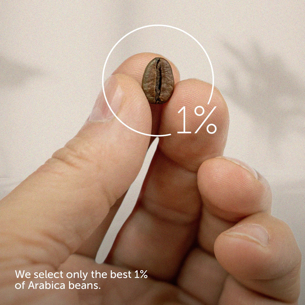 brewing illy Classico in a pour-over cone, illustrating flavor clarity