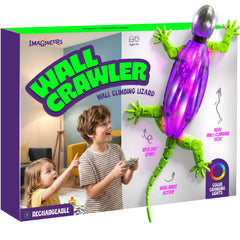 Imagineers Gecko front view showing shape and design for imaginative play