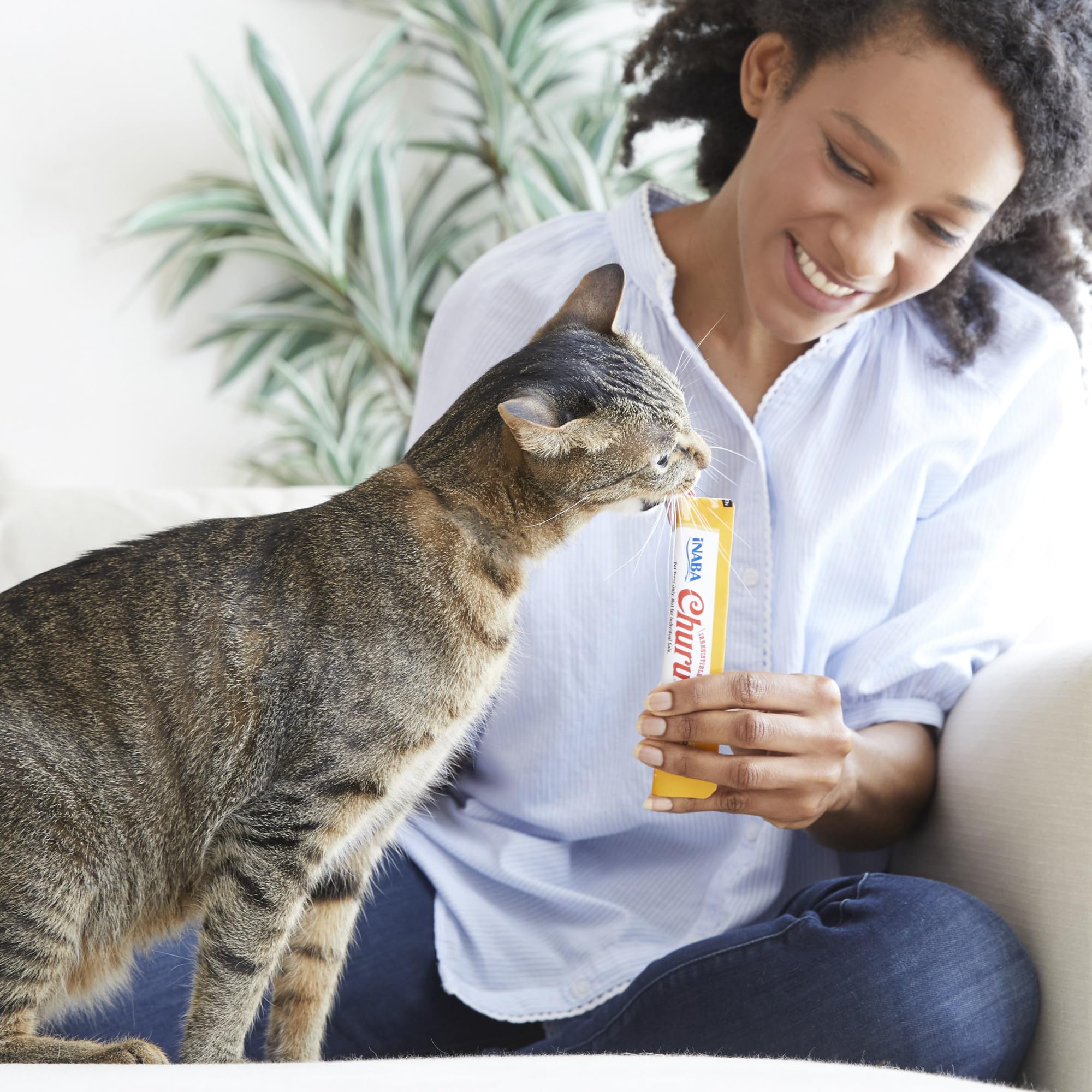 INABA tube being squeezed onto cat bowl increasing meal palatability