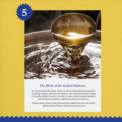 INABA close-up of dashi broth texture offering hydrating appeal