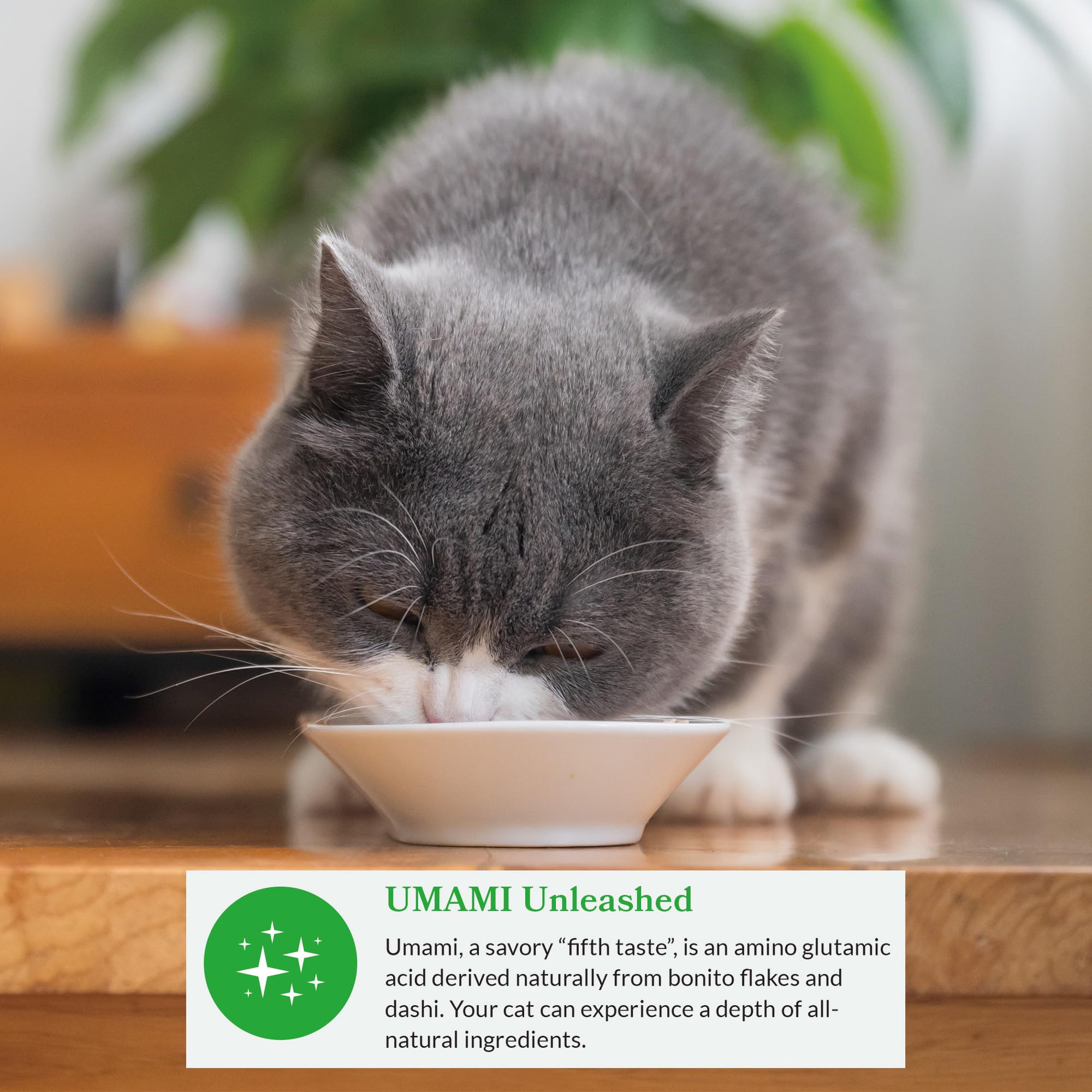 INABA ingredient label close-up showing grain-free, clean recipe benefit
