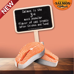INABA single Salmon Churu tube next to a measuring spoon for portion control