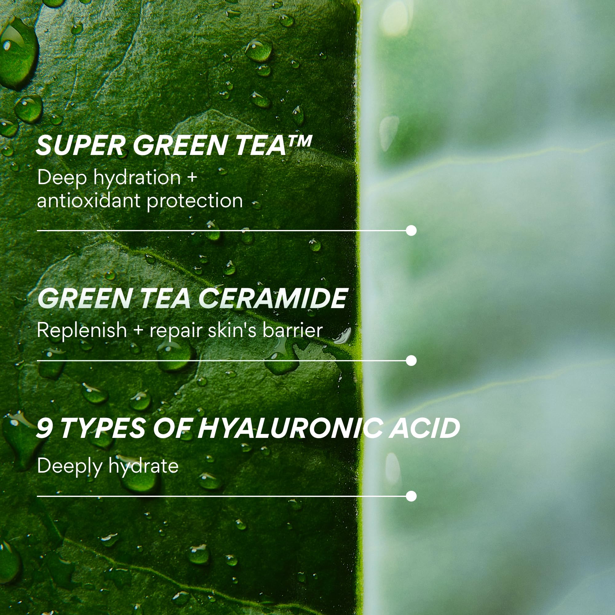 innisfree used beneath serum demonstrating better absorption and layering