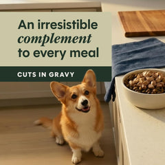 Instinct lamb pouch showing tender chunks and rich gravy