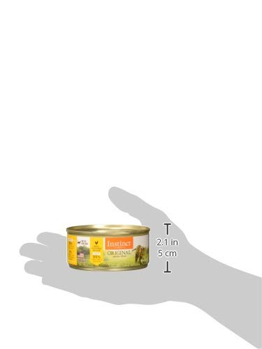 Instinct pate texture close-up highlighting smooth, moist consistency