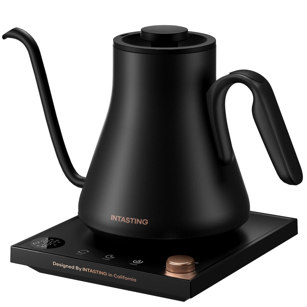INTASTING gooseneck kettle front view showing compact shape and handle benefit precision