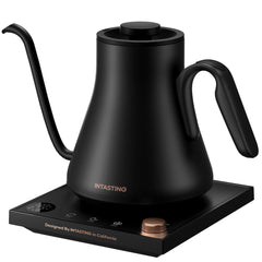 INTASTING gooseneck kettle front view showing compact shape and handle benefit precision
