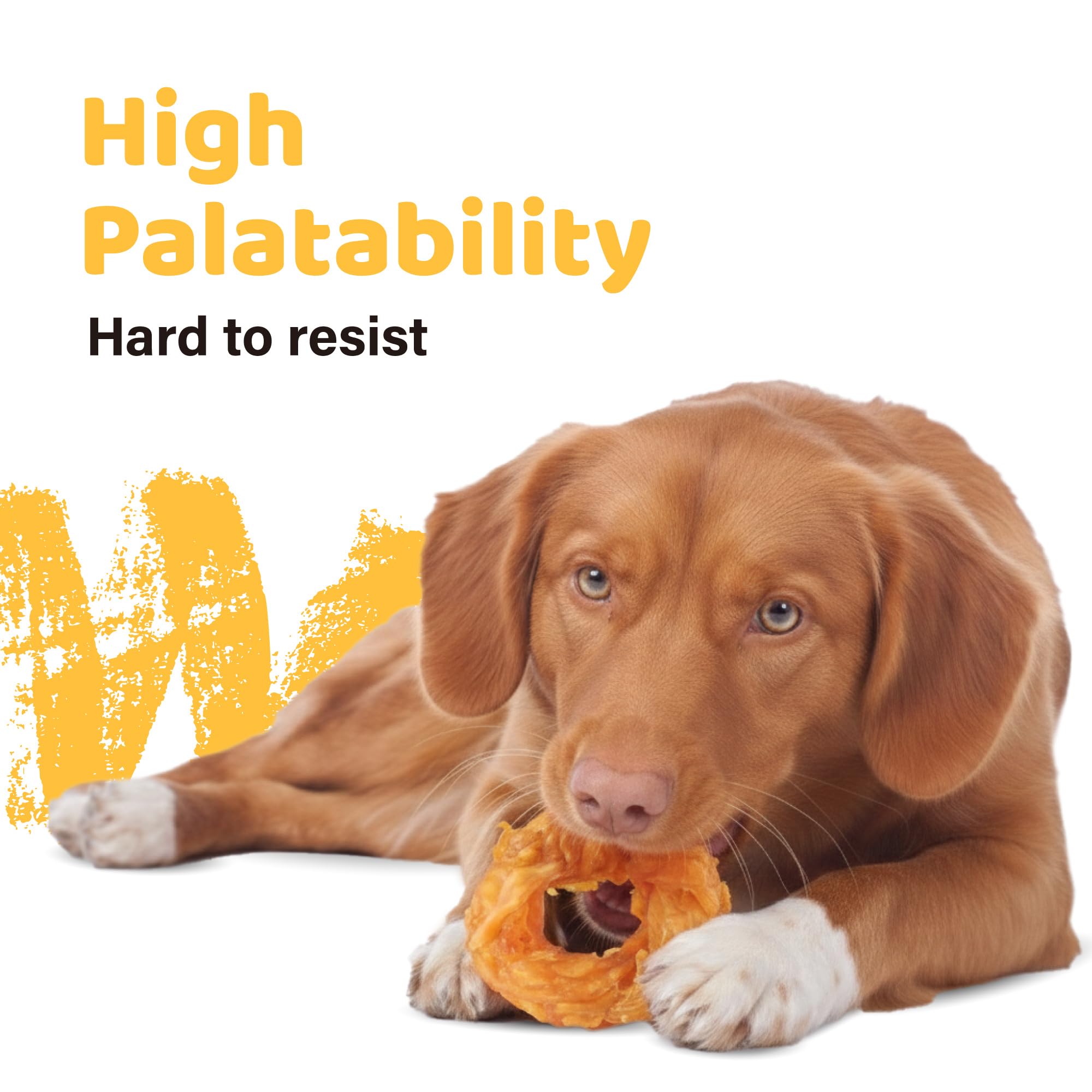 iPaw dog chewing a tendon ring illustrating engagement and dental stimulation benefit