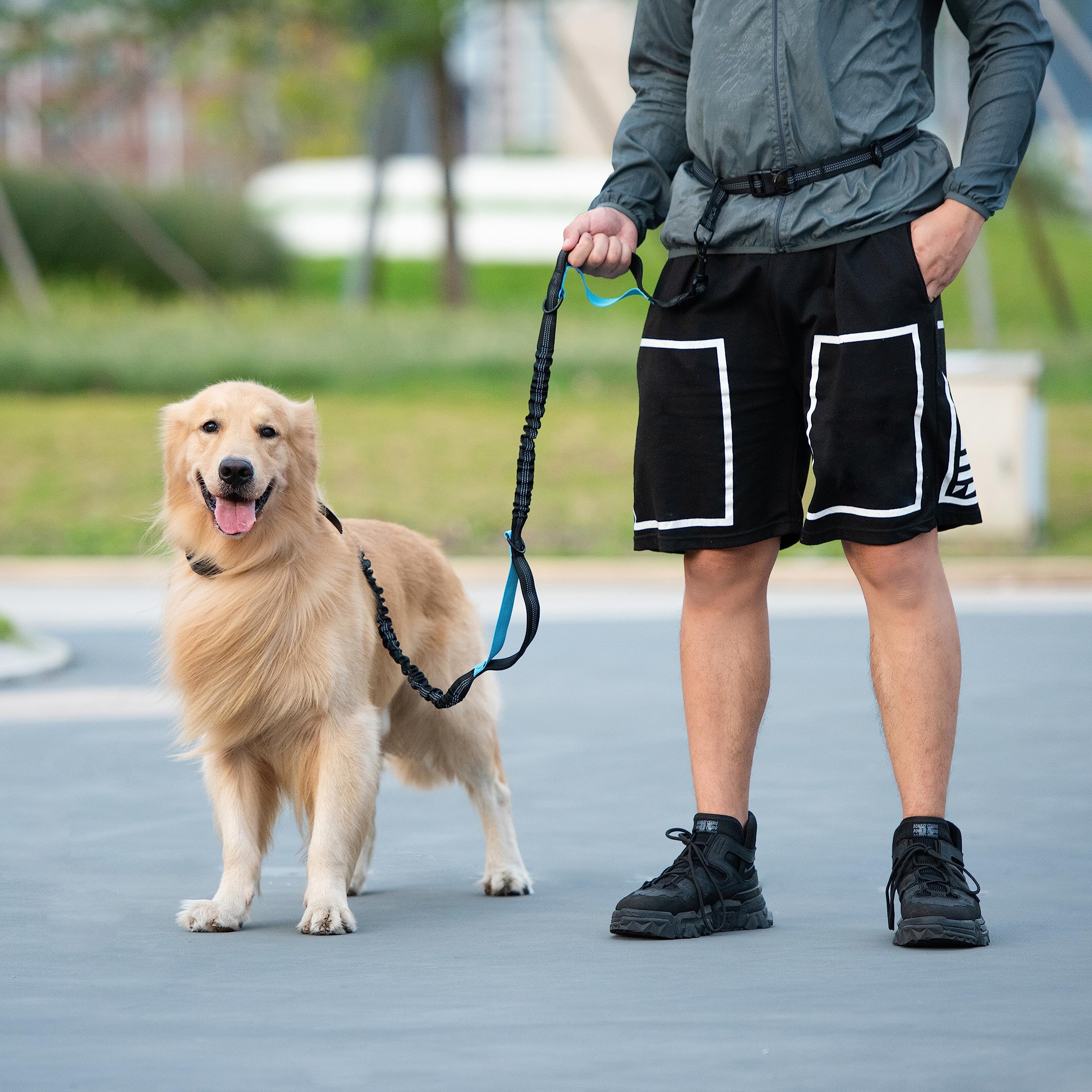 iYoShop runner with dog lifestyle scene enables hands-free running