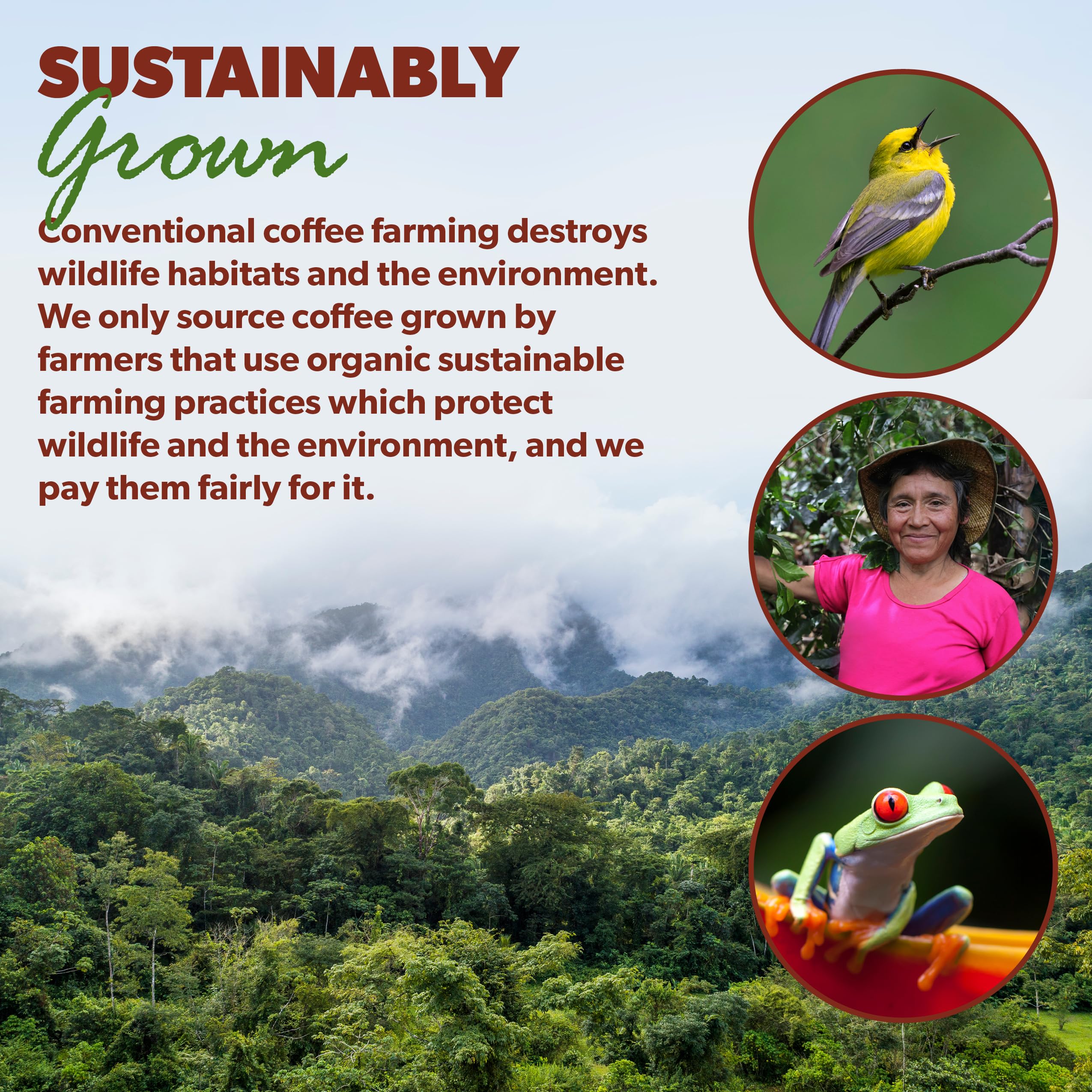 Java Planet product label and certifications displaying organic and safety testing