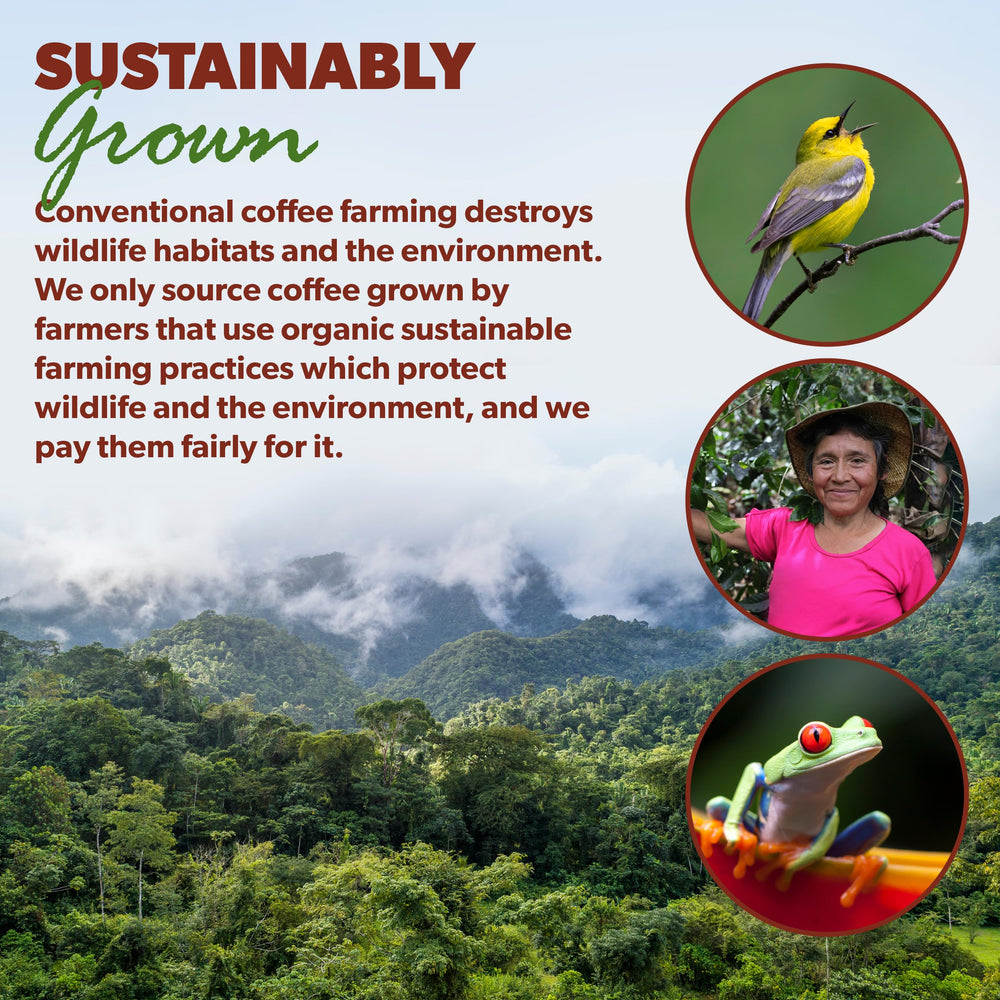 Java Planet product label and certifications displaying organic and safety testing