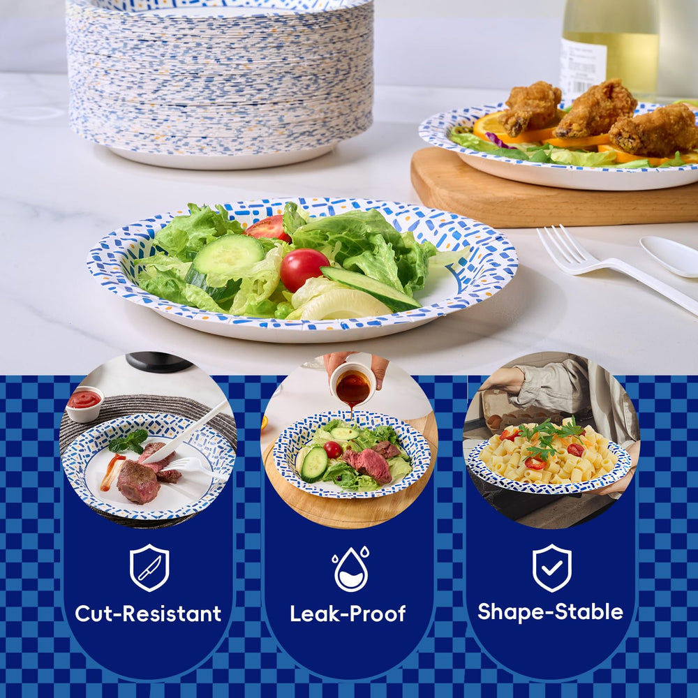 JOLLY CHEF plate in picnic scene holding food for outdoor ease