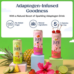 JUNI strawberry hibiscus can close-up highlighting flavor and calm support