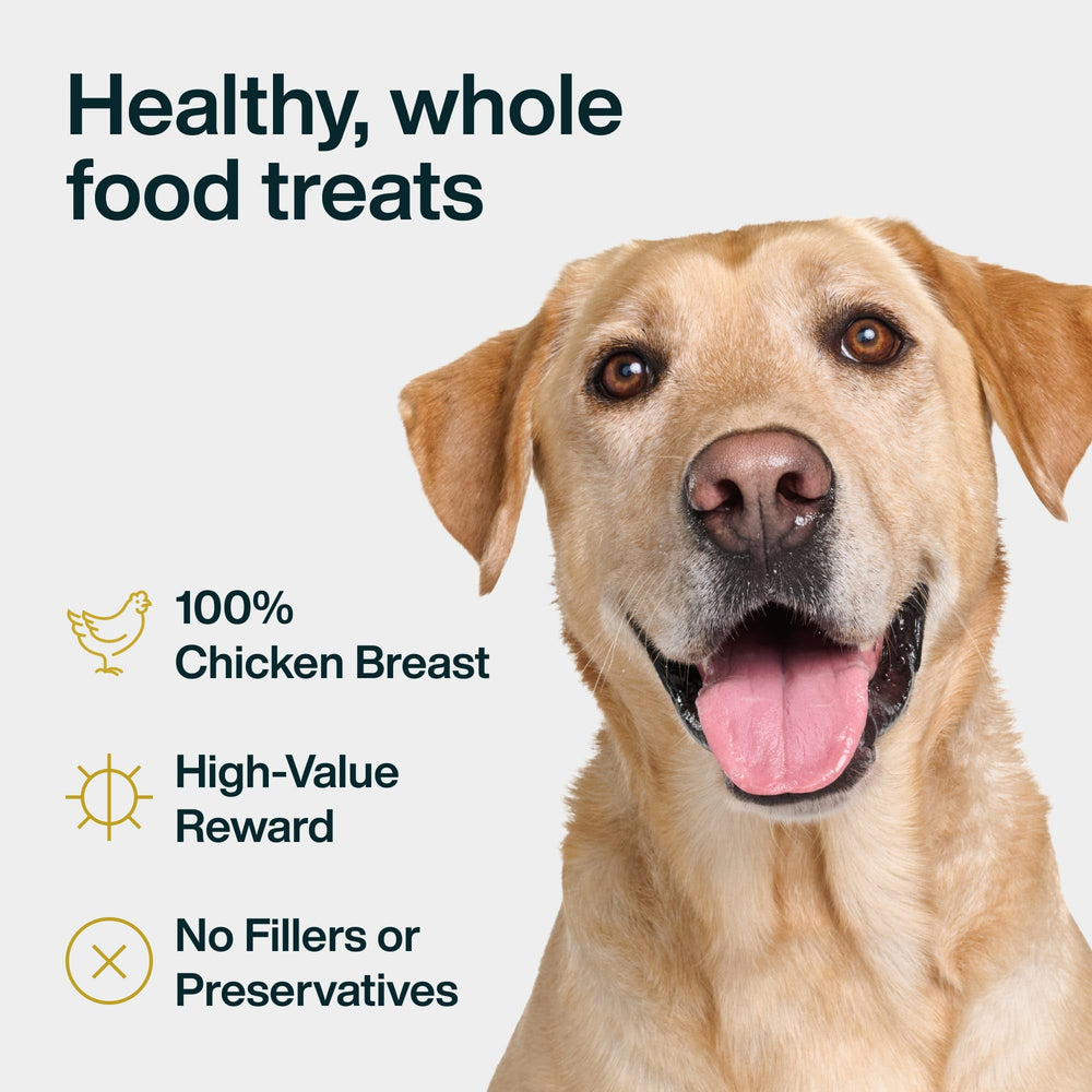JustFoodForDogs dog receiving chicken treat during training for high-value reward