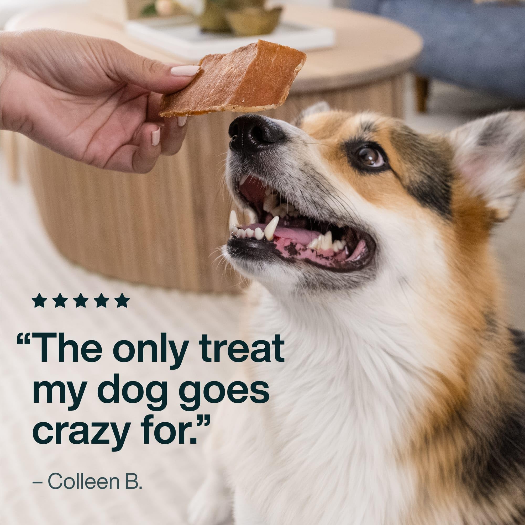 JustFoodForDogs dog eating pork treat showing high palatability benefit