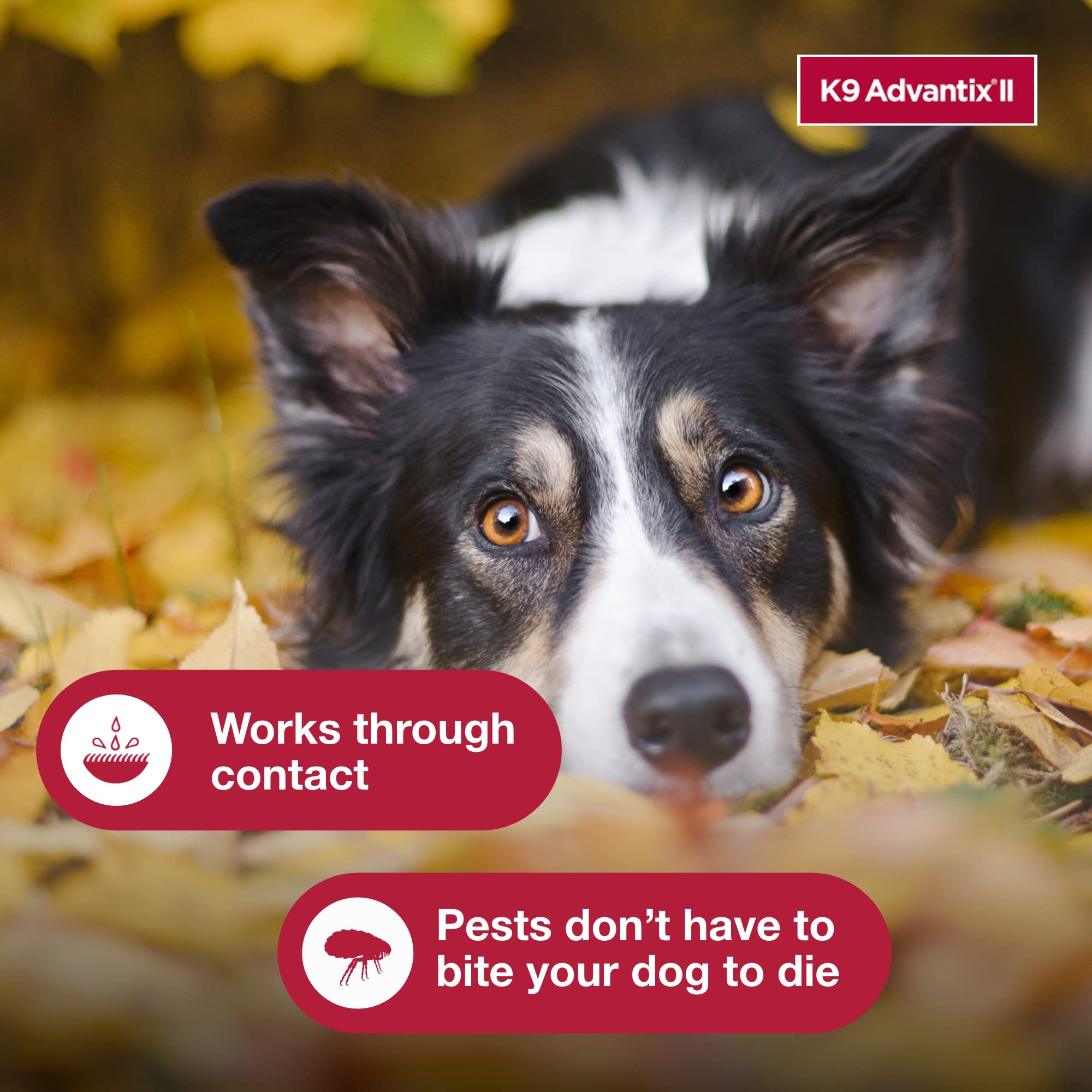 Two-dose K9 Advantix pack displayed for convenient monthly treatments